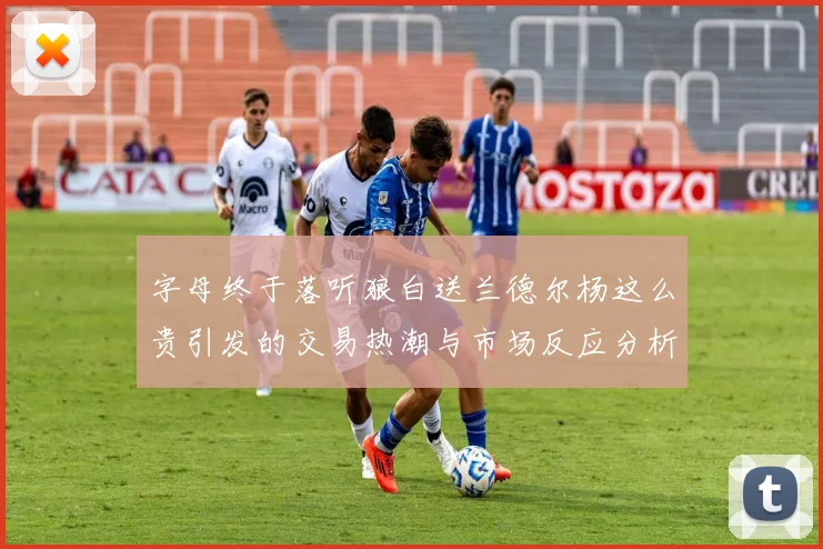 字母终于落听狼白送兰德尔杨这么贵引发的交易热潮与市场反应分析