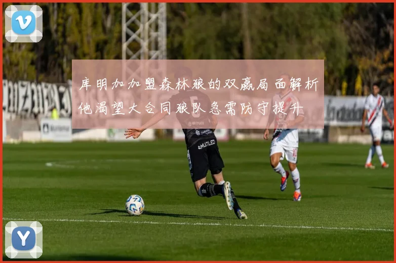 库明加加盟森林狼的双赢局面解析他渴望大合同狼队急需防守提升